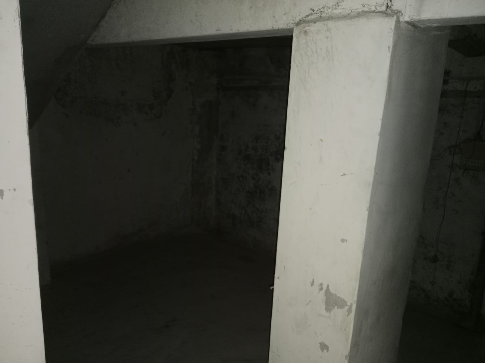 Showroom for Rent in Appasaheb Marathe Marg Mumbai