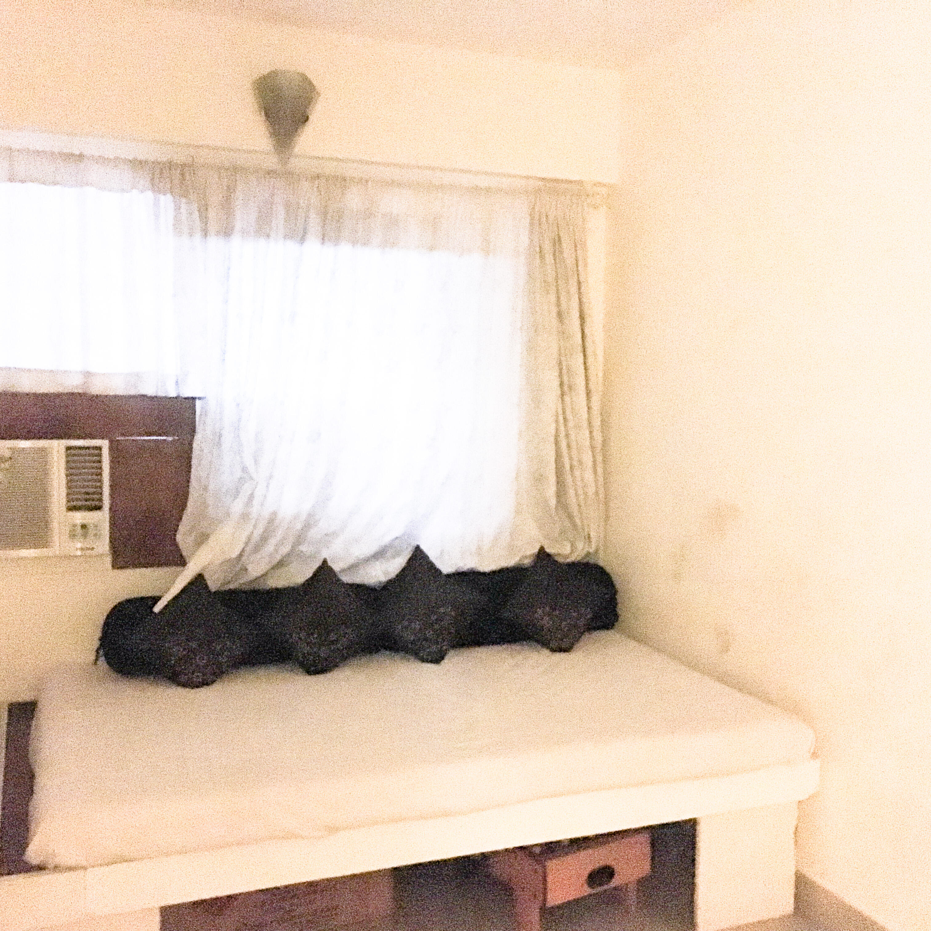 4 BHK Apartment for Sale in Central Avenue Road Mumbai