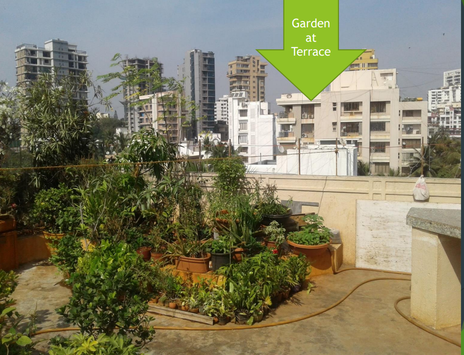 4 BHK Penthouse for Rent in Bandra West Mumbai
