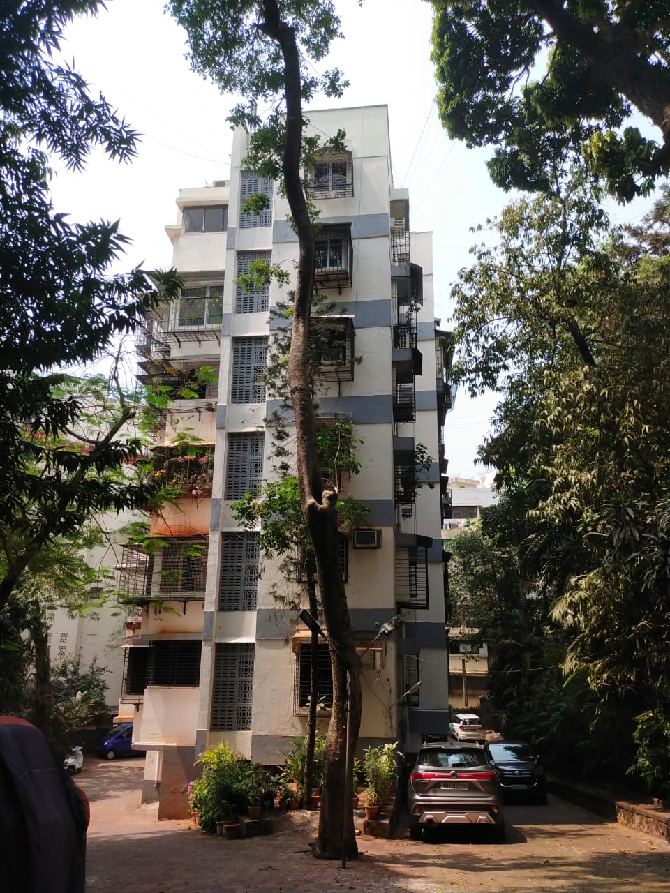 2 BHK Apartment for Sale in Pali Hill Mumbai