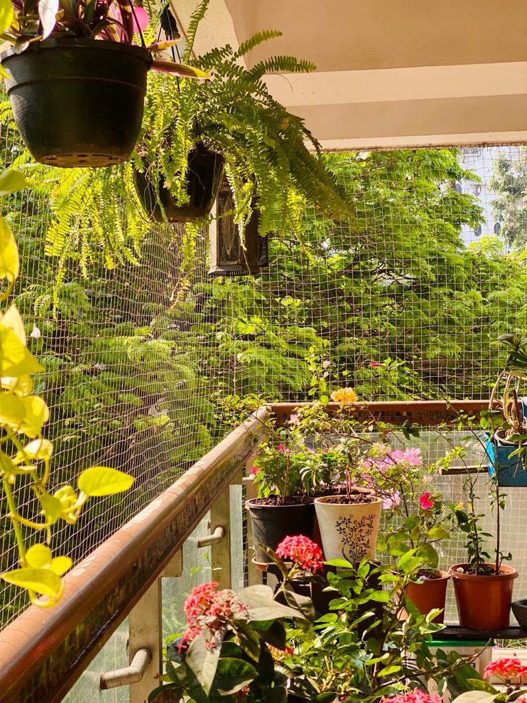 3 BHK Apartment for Rent in 15th Road Mumbai