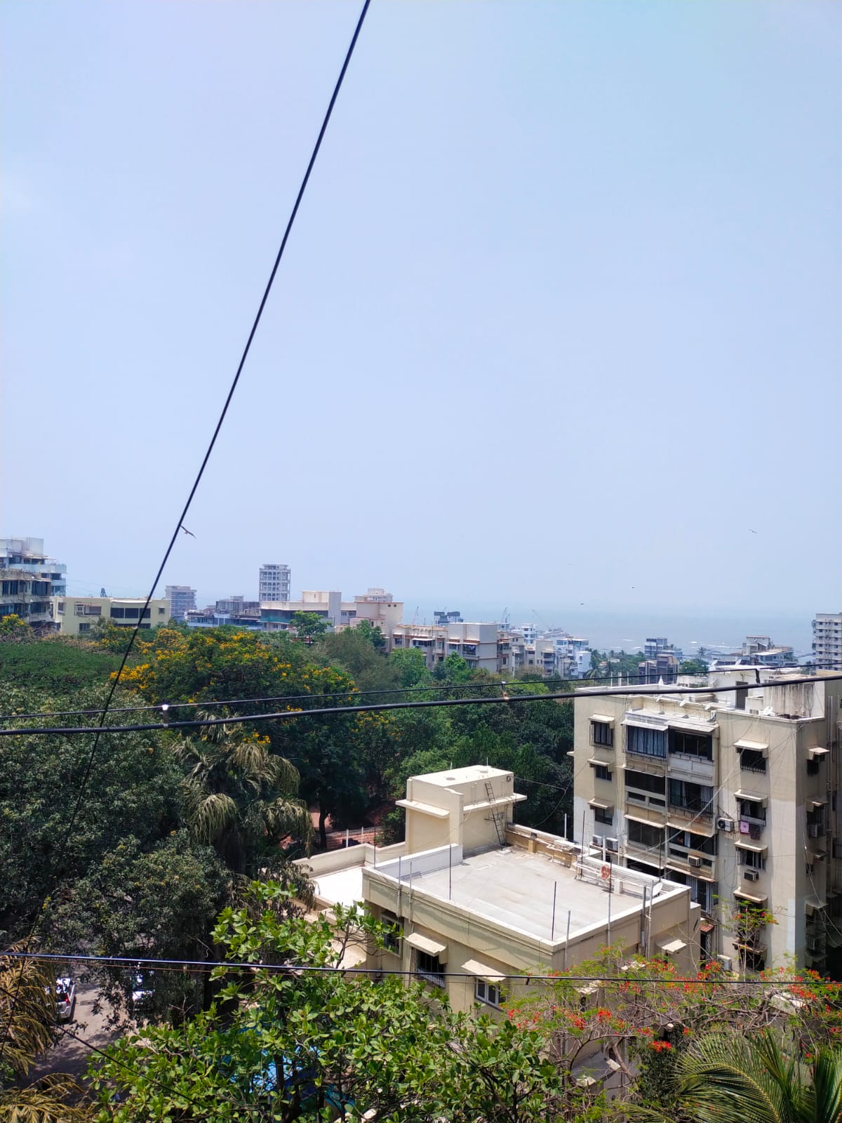 3 BHK Apartment for Sale in Pali Hill Mumbai