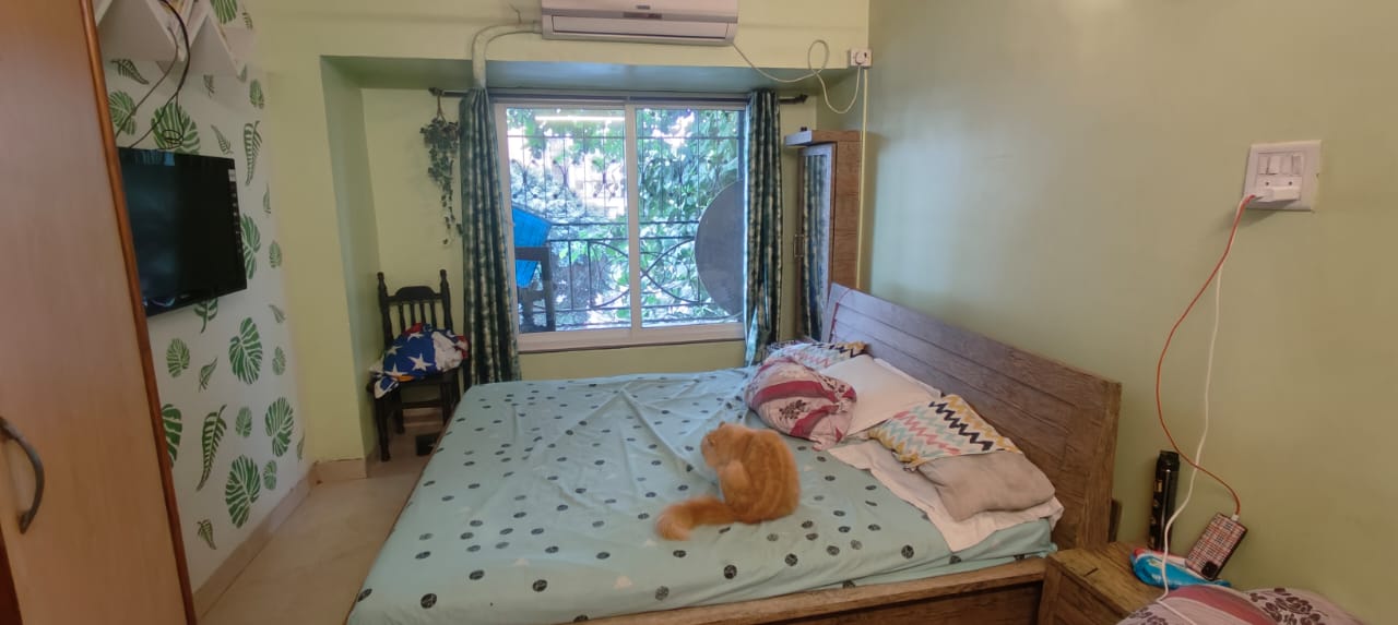 2 BHK Apartment for Rent in Pali Naka Mumbai